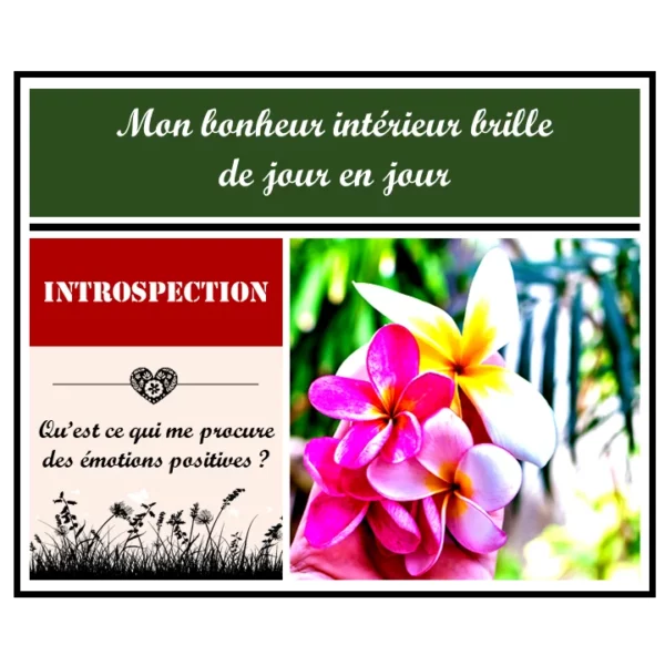1 - 1 - Article-Bonheur-Voyage-vers-le-bonheur-Comment-transformer-sa-vie - Instagram
