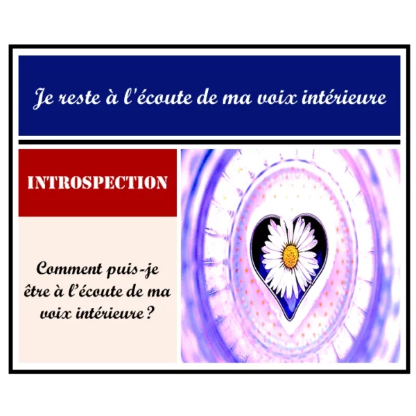 1 - 6 - Article Ikigaï - L'expression de notre raison d'être - Instagram