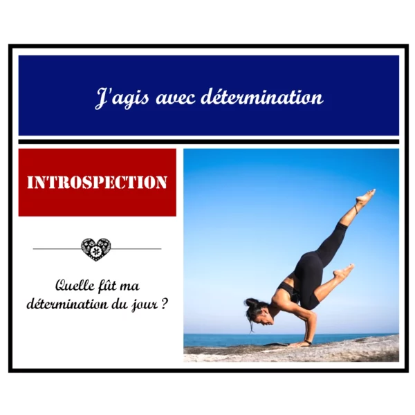 2 - 1 - Article Développement Personnel - Le mindset gagnant pour la réussite - Instagram - 1