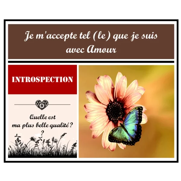 2 - 3 - Article Développement Personnel - L'Acceptation, un cadeau pour soi-même - Instagram