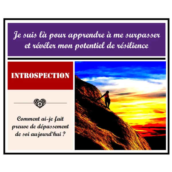 2 - 5 - Article Développement Personnel - La persévérance - un atout pour la vie - Instagram