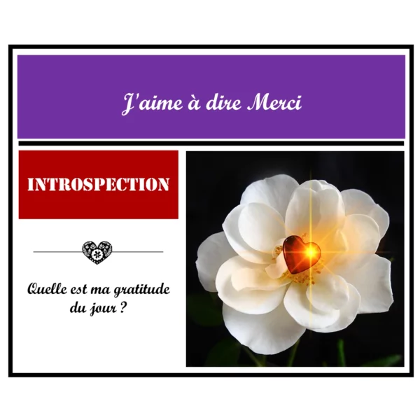 3 - 6 - Article Spiritualite - La gratitude la clé du bonheur et de la paix intérieure - Instagram - 1