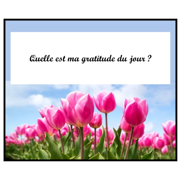 3 - 6 - Article Spiritualite - La gratitude la clé du bonheur et de la paix intérieure - Instagram - 2