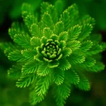 TEST PERSONNALITÉ : Comment maintenez-vous l’alignement intérieur dans votre vie ?