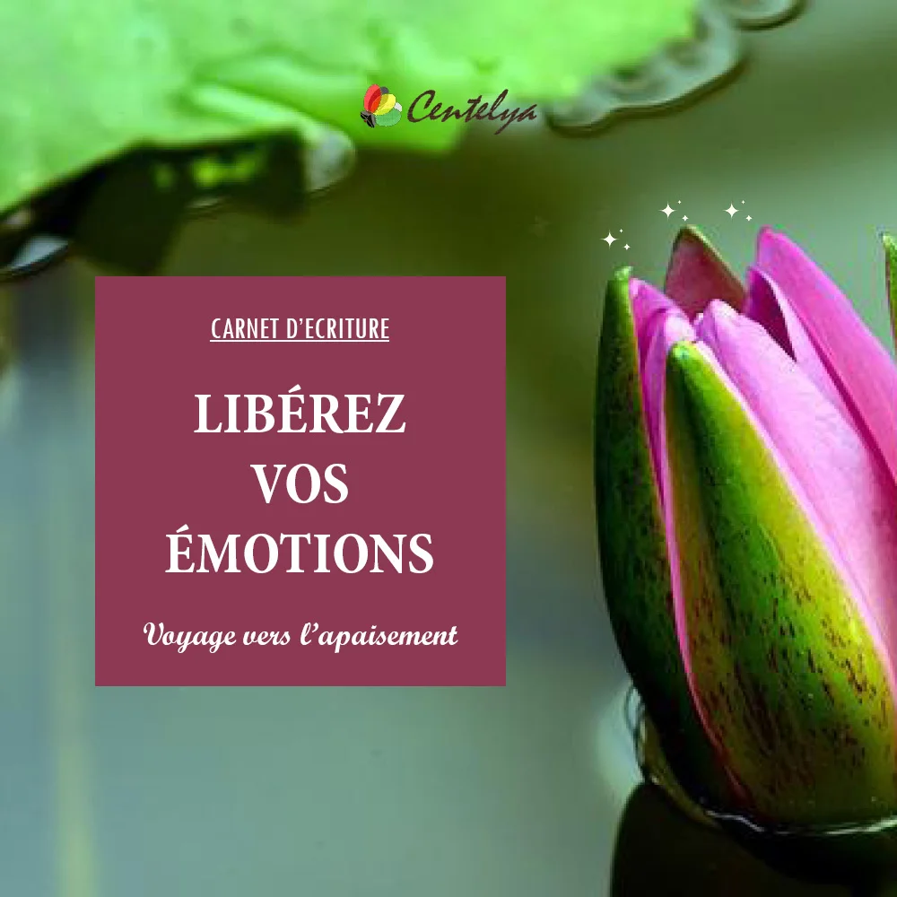 CARNET DE LIBERATION EMOTIONNELLE - Couverture - 1