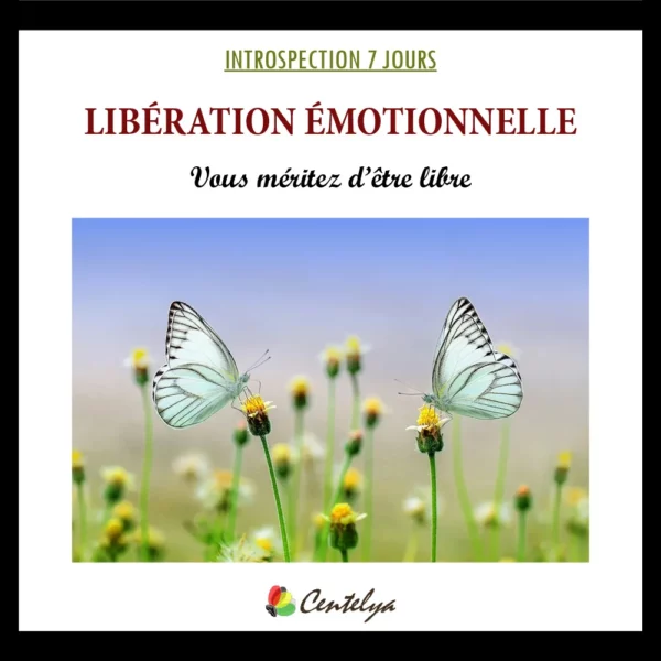 GUIDE INTROSPECTION - LIBERATION EMOTIONNELLE - Couverture - 1