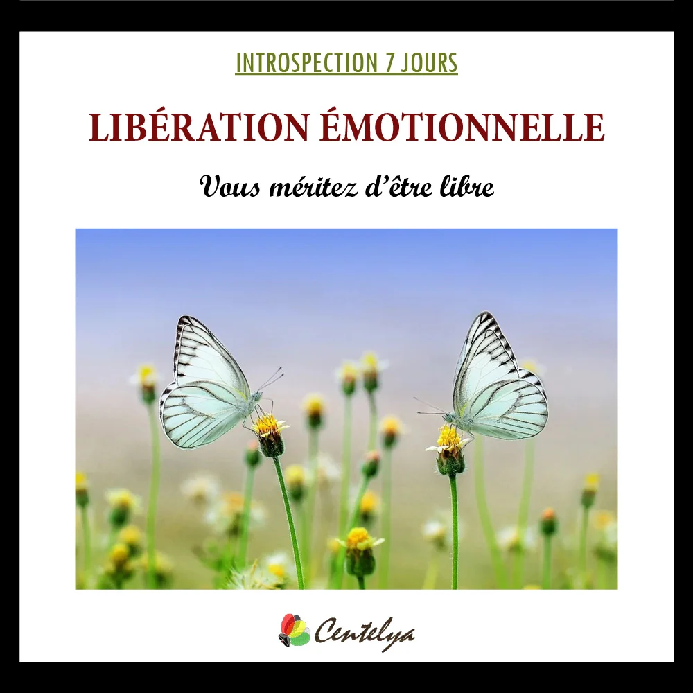 GUIDE INTROSPECTION - LIBERATION EMOTIONNELLE - Couverture - 1