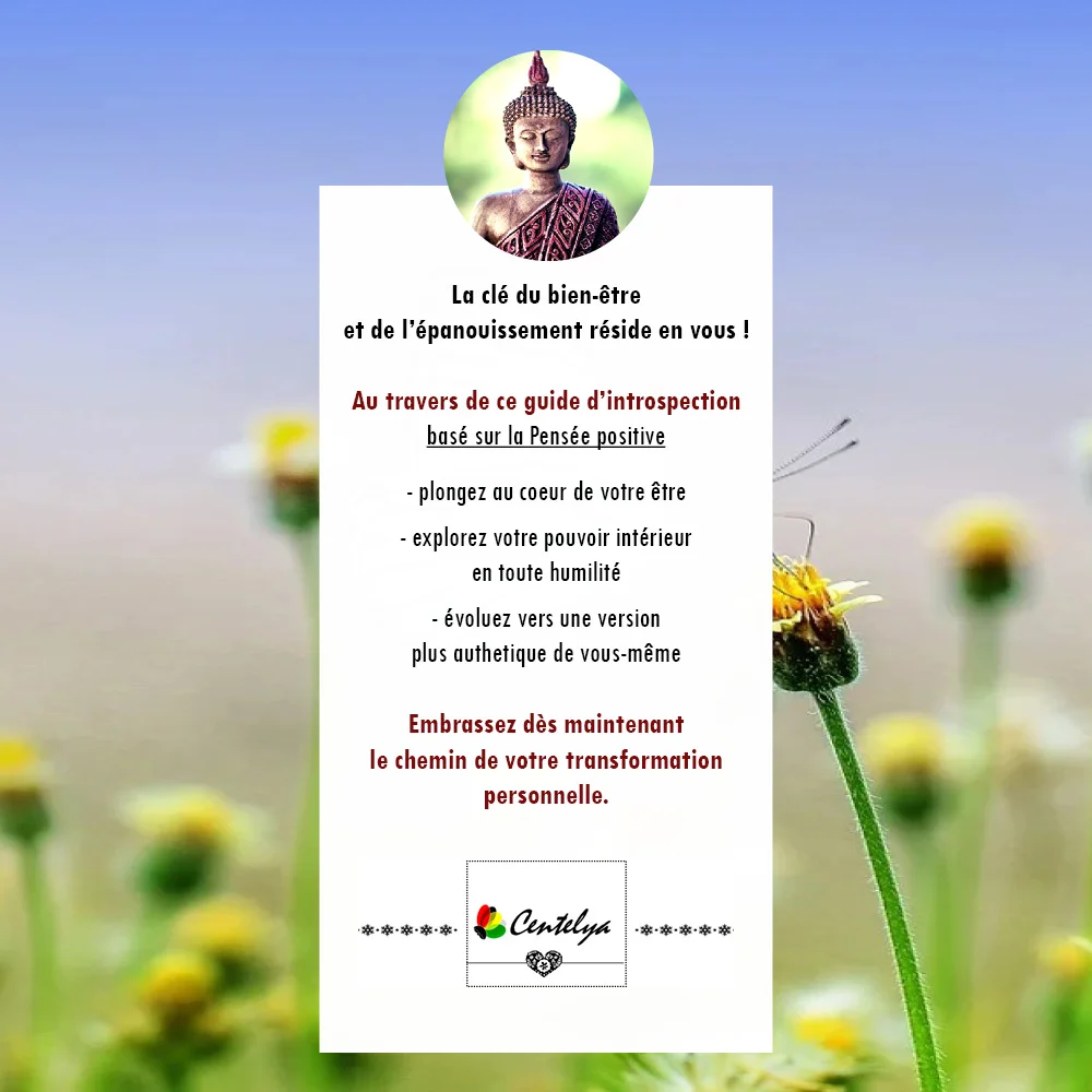 GUIDE INTROSPECTION - LIBERATION EMOTIONNELLE - Couverture - 2