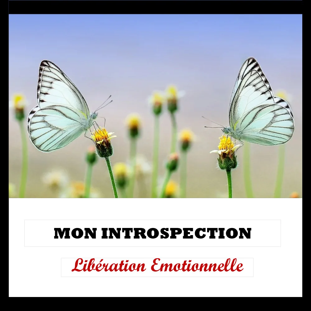 GUIDE INTROSPECTION - LIBERATION EMOTIONNELLE - Couverture - 3