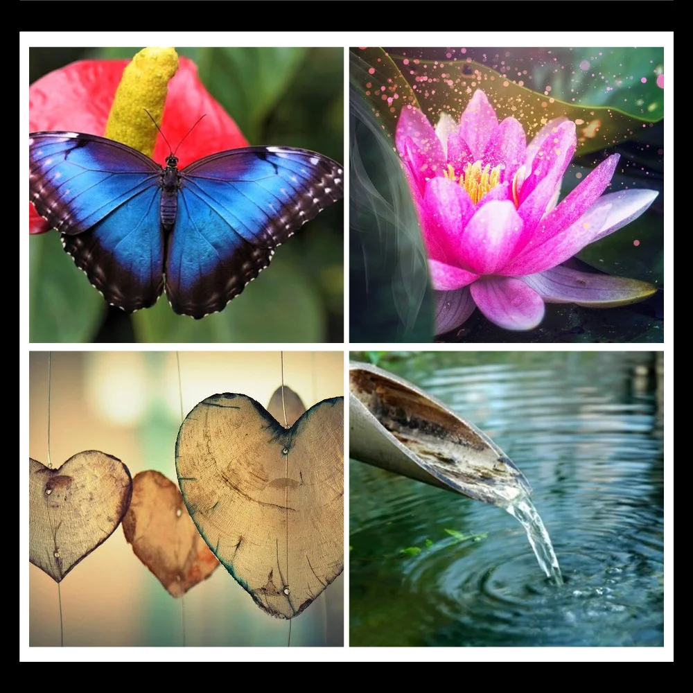 GUIDE INTROSPECTION - LIBERATION EMOTIONNELLE - Couverture - 5