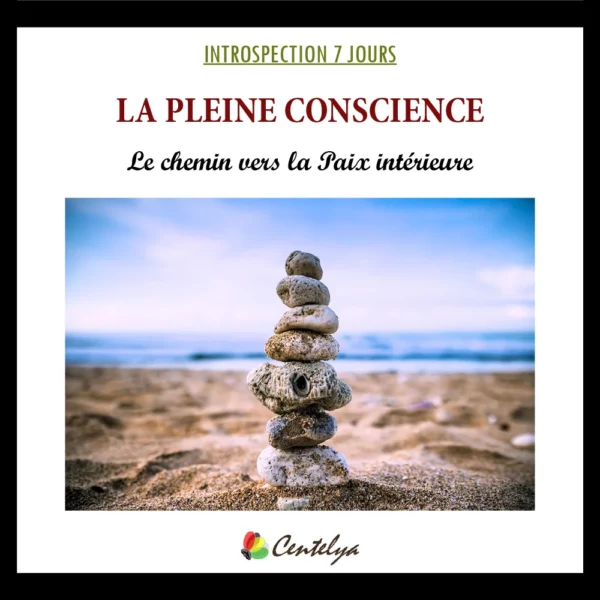 GUIDE INTROSPECTION - PLEINE CONSCIENCE - Couverture - 1