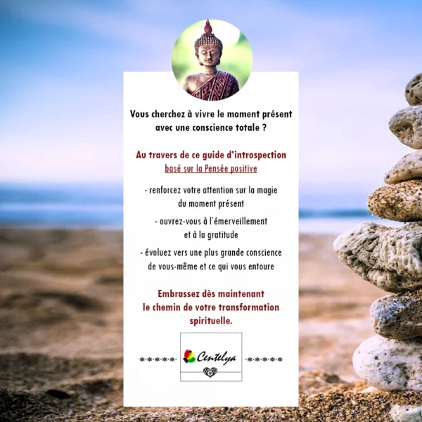 GUIDE INTROSPECTION - PLEINE CONSCIENCE - Couverture - 2