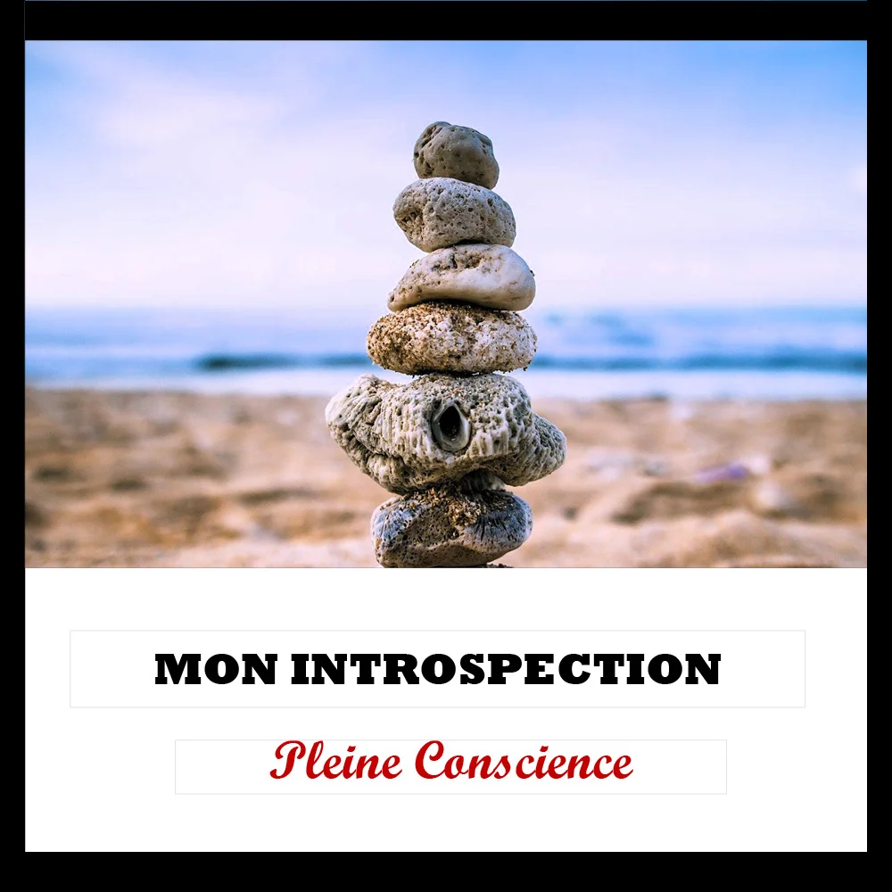 GUIDE INTROSPECTION - PLEINE CONSCIENCE - Couverture - 3
