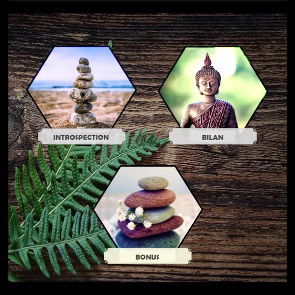 GUIDE INTROSPECTION - PLEINE CONSCIENCE - Couverture - 4