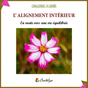 Livret Alignement Intérieur – Challenge 14 jours