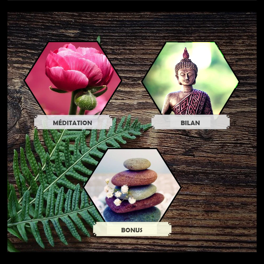 MEDITATION GUIDEE - AMOUR DE SOI - Couverture 4
