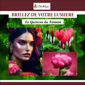 Pack Bien-être – Guérison du Féminin