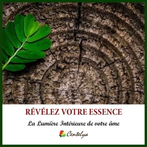 Pack Spiritualité – Lumière Intérieure
