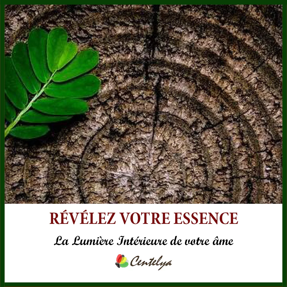PACK LUMIERE INTERIEURE AME - Couverture - 1
