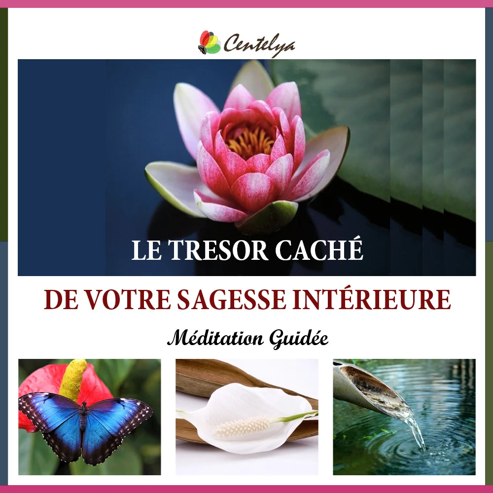 PACK LUMIERE INTERIEURE AME - Couverture - 4