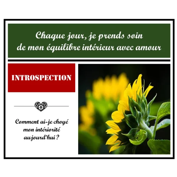 1 - 8 - Article Bien être - Trouver l'équilibre intérieur - 3 clés essentielles - Instagram - 1
