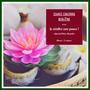 Séance Coaching Bien-être » Je m’offre une pause – Spécial Detox Mentale «