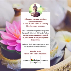 Séance Coaching Bien-être » Je m’offre une pause – Spécial Detox Mentale «